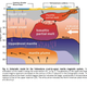 Image for article titled Apocalyptic Yellowstone Supervolcano Now 5.5 Times Larger